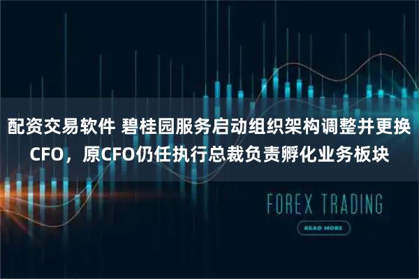 配资交易软件 碧桂园服务启动组织架构调整并更换CFO，原CFO仍任执行总裁负责孵化业务板块