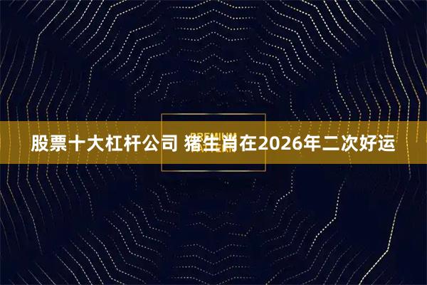 股票十大杠杆公司 猪生肖在2026年二次好运
