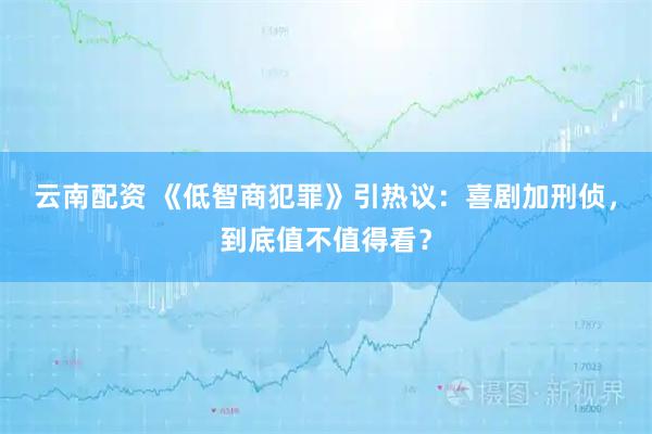 云南配资 《低智商犯罪》引热议：喜剧加刑侦，到底值不值得看？